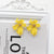Flowers Mixed Color dangle Earrings - minxxshop.com