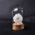 1 Piece Natural Mineral Specimen with Cloche - minxxshop.com