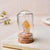 1 Piece Natural Mineral Specimen with Cloche - minxxshop.com