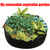 Circular Fabric Growing Bags for Plants, Flowers and Vegetables - minxxshop.com