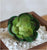 Artificial succulents Lifelike Mini Artificial Plants, French pots - minxxshop.com