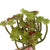 Artificial succulents Lifelike Mini Artificial Plants, French pots - minxxshop.com