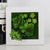Creative 3D Artificial Plants,Flowers,Floral Wall Decor - minxxshop.com