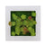 Creative 3D Artificial Plants,Flowers,Floral Wall Decor - minxxshop.com